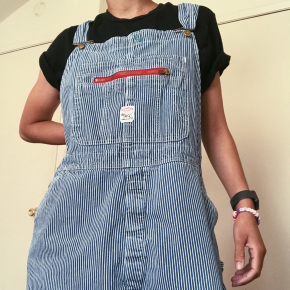 vintage pointer overalls